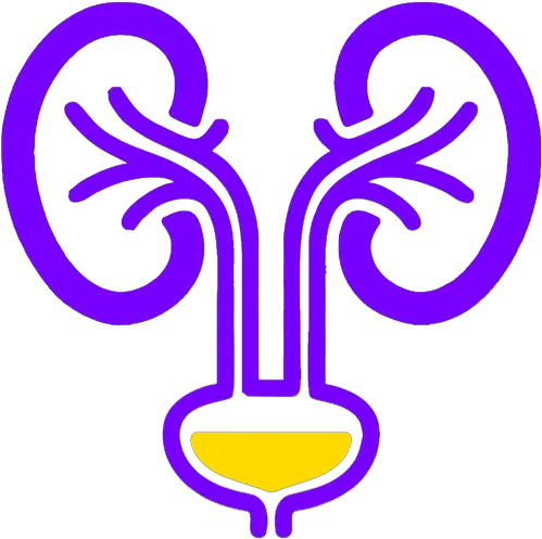  Pqtap U2013 Supporting The App Nephrology Icon Png Pee Icon