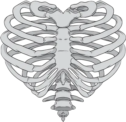  Rib Cage Heart Human Skeleton Anatomy Skeleton Hand Png Heart Shaped Rib Cage Skeleton Hand Png