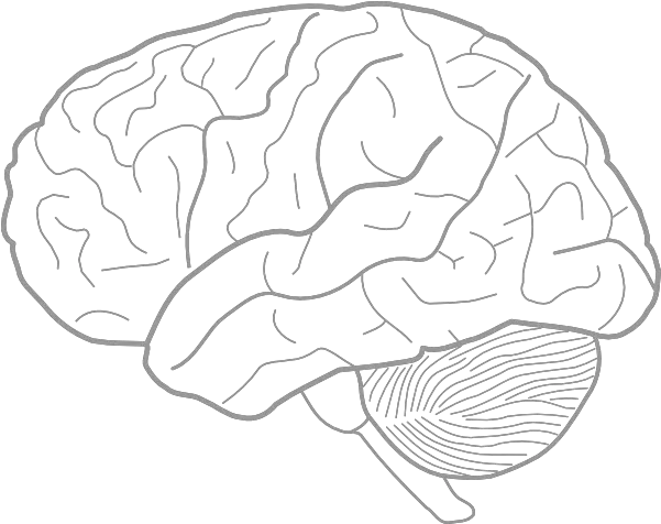  Brain Sketch Clip Art Vector Clip Art Online Brain With Eyes Drawing Png Human Brain Png