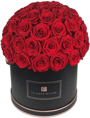  Luxury Real Roses That Last A Year Garden Roses Png Real Rose Png