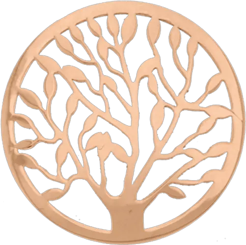  Webstore My Imenso Of Life Livets Tre Øredobber Gull Png Tree Of Life Logo