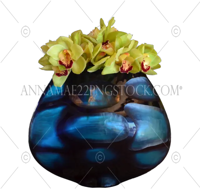  Png Stock Photos Png Flower Plant Png