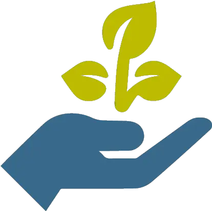  Womenu0027s Rights U2013 Emhrf Hand Hold Plant Icon Png Hand Hold Icon Icon