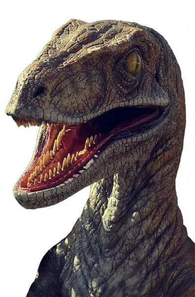  Raptor Velociraptor Jurassic Park Png Raptor Png