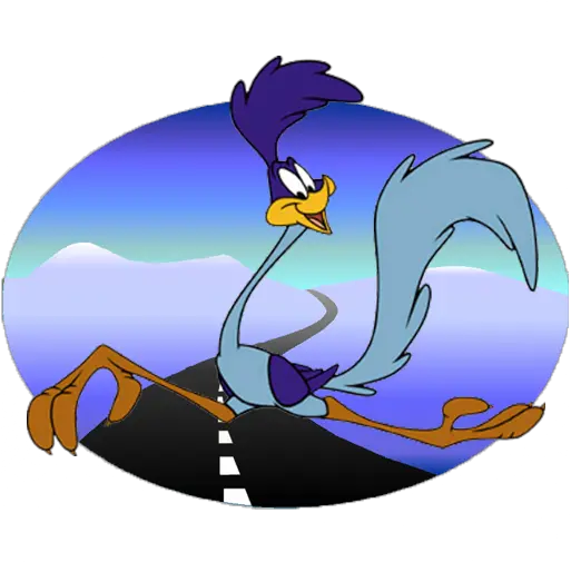  Road Runner Road Runner Cartoon Png Road Runner Png