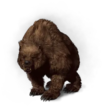  Bear Bear The Witcher 3 Png Bears Png