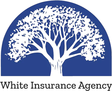  White Insurance Agency Personal Business U0026 Employee Illustration Png Png Tree.com