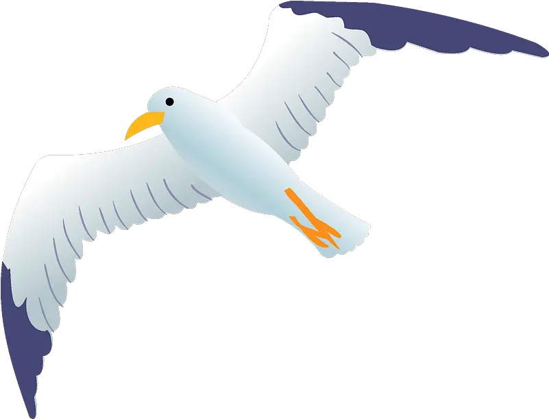  Sea Gull Clipart Albatross Png Download Full Size Seagull Clipart Png Seagull Icon