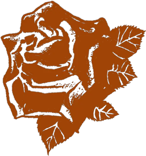  Blog U2014 The Rose Reflective The Rose Reflective Png Orange Flower Png