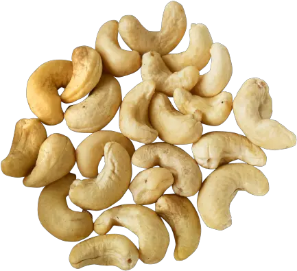  Cashew Nut Png Transparent Image Pngpix Transparent Background Cashew Nut Png Peanut Png