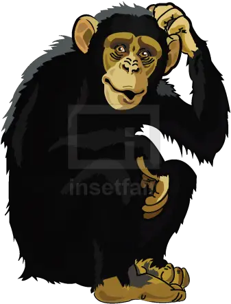  Home Insetfair Chimpanzee Clipart Png Free Png Images For Commercial Use