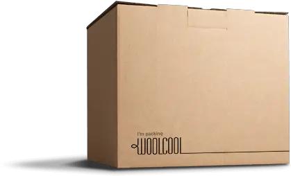  Insulated Food Courier Boxes Woolcool Packaging Box Packaging Png Cardboard Box Transparent