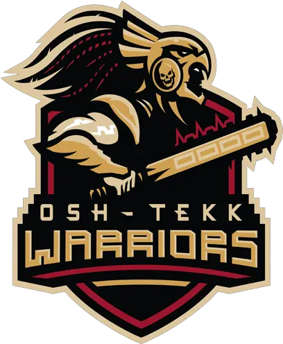  Cyber Sports League Osh Tekk Warriors Png Osaid Logo