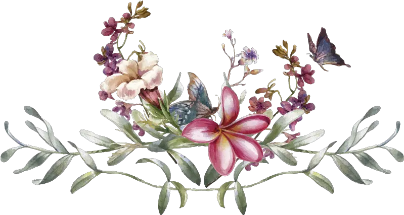  Watercolour Butterfly U0026 Flowers Flower Wall Decal Blommor Med Vit Bakgrund Png Watercolor Butterfly Png