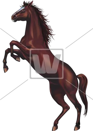  Download Wild Horse Png Horses