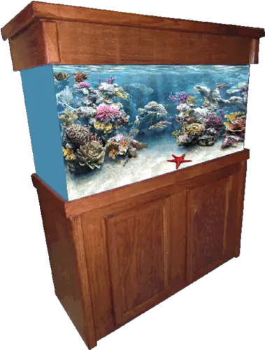  Aquarium Furniture Png Image Aquarium Fish Tank Png