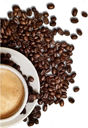  26 Coffee Images Hd Png Coffee Png