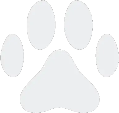  Pet Boarding U0026 Day Care Services In Florida Happy Pets Dot Png Pet Sitting Icon