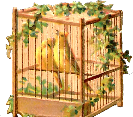  Cage Clipart Yellow Bird Cage Transparent Cartoon Jingfm Clip Art Png Bird Cage Png