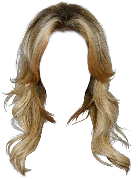  Wig Png Image Transparent Female Hair Png Wig Png