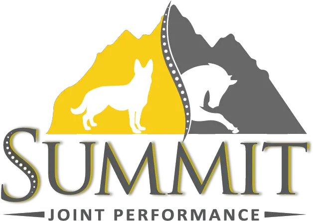  Summit Jp U2013 Performance Mobility Comfort Summit Injections Png Jp Logo