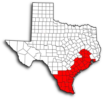  Southern District Of Texas Chapter Boundaries U2013 Green Party Of Texas Png Texas Map Png