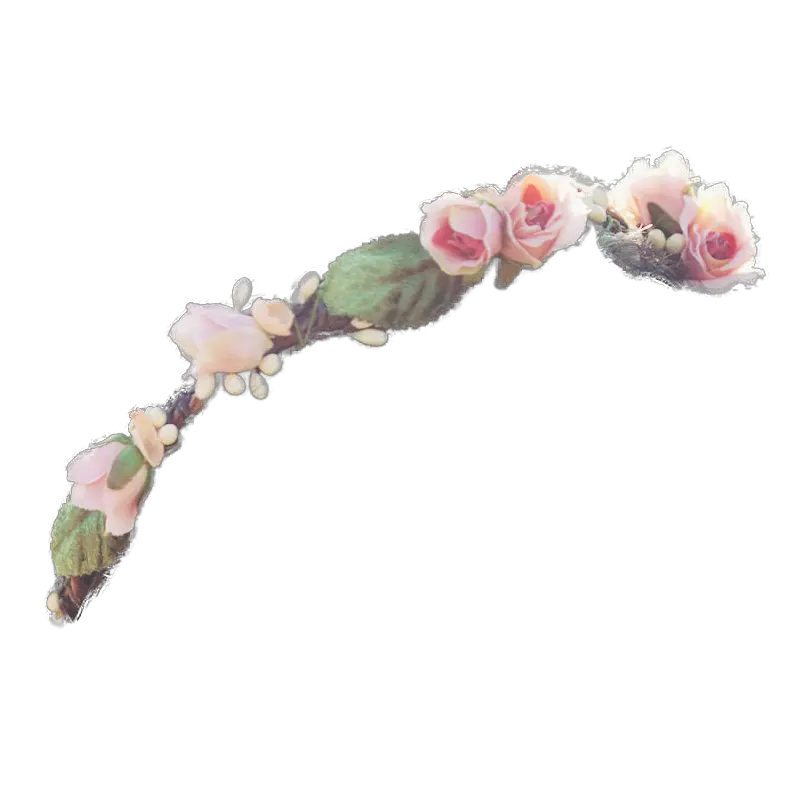  Tumblr Flower Crown Png Picture 2230370 Transparent Background Flower Crown Png Pink Crown Png