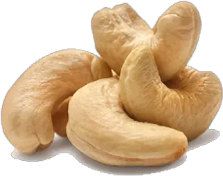  Download Cashew Png Clipart Free Transparent Png Images Cashew Png Bread Clipart Png