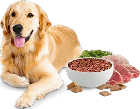  Buy Dog Food Online Golden Retriever Dog Png Dog Food Png