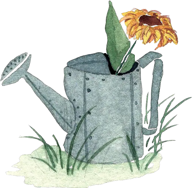  Download Hd Little Watercolor Watering Can With Sunflower In Watercolor Watering Can Clipart Png Watercolor Sunflower Png