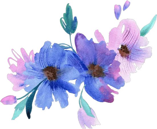  Elenaefremova U2013 Canva Poppy Anemone Png Flower Icon Tumblr