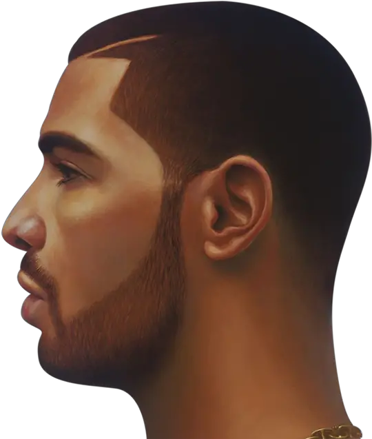  Download Drake Face Png Image Nothing Was The Same Drake Head Face Png