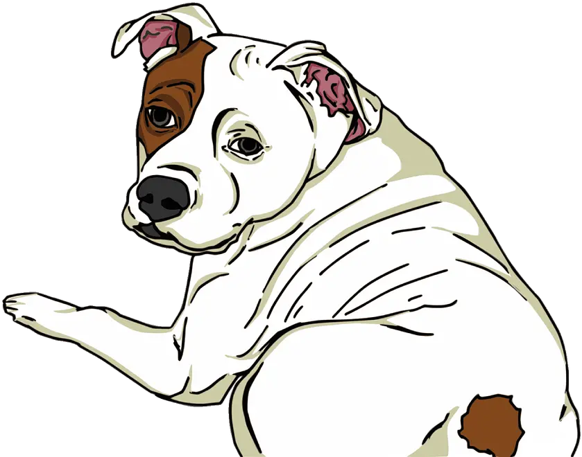  Animal Dog Pet Free Vector Graphic On Pixabay American Pit Bull Terrier Png Dog Sitting Png