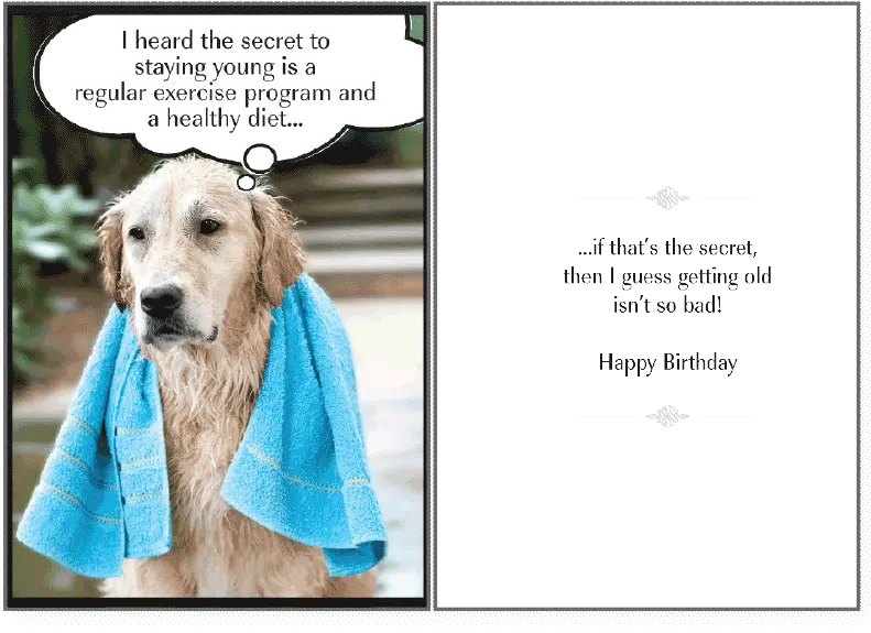  Download Secret To Staying Birthday Card Happy Birthday Happy Birthday Dog Lover Png Funny Dog Png