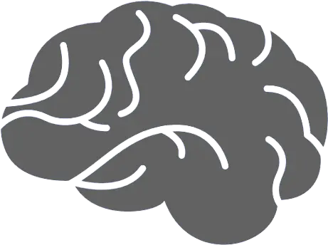  Download Hd Brain Icon Brain Icon Grey Transparent Png Simple Brain Vector Brain Icon Png