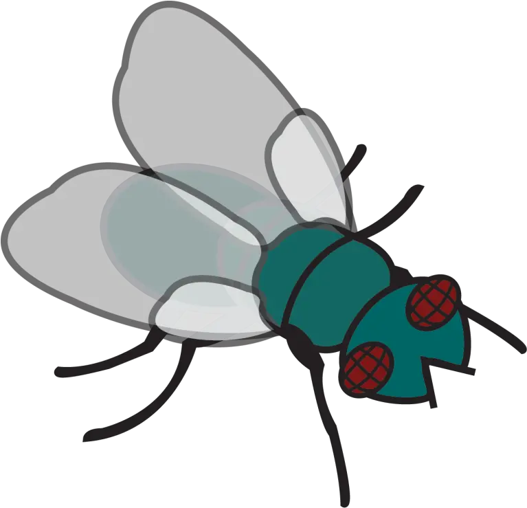  Pin Fly Clipart Clipart Of Fly Full Size Png Download Fly Clipart Fly Png