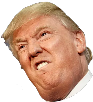  Library Of Trump Face Clip Freeuse Png Donald Trump Face Transparent Trump Png