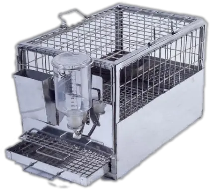  Guinea Pig Cage Standard Type New Meditech Guinea Pig Cage India Png Steel Cage Png