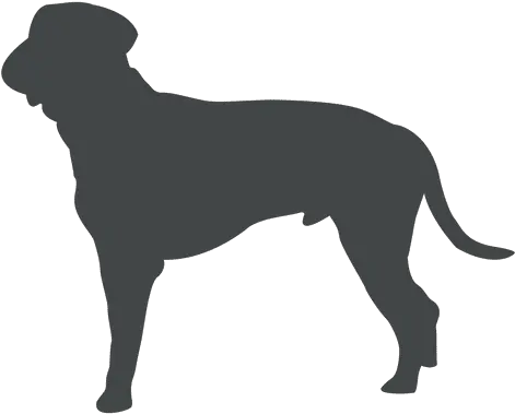  Download Vector Dog Silhouette Posing Ears Up Vectorpicker Perro De Lado Png Dog Silhouette Png