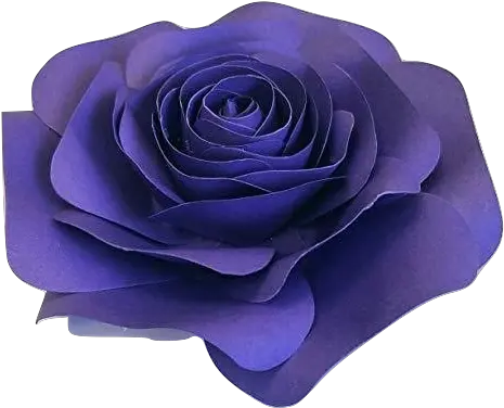  Dark Purple Paper Rose No Sell Garden Roses Png Paper Flower Png