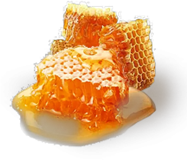  Honey Png Free Image Download 33 High Quality Honey Honey Png