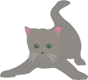  100 Free Cat Isolated U0026 Images Pixabay Gato Gris Dibujo Png Kitten Transparent Background