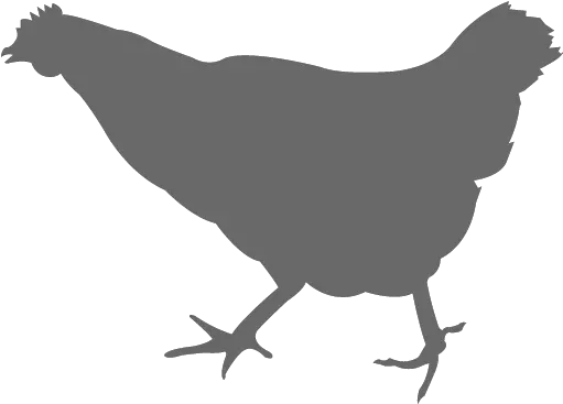  Chicken Vector Graphics Silhouette The Broad Chicken Png Desi Chicken Chicken Png