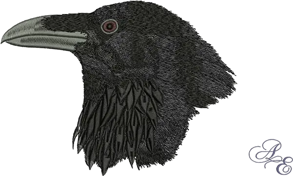  Art Of Embroidery Raven Head Large Machine Embroidery Transparent Crow Head Png Raven Transparent