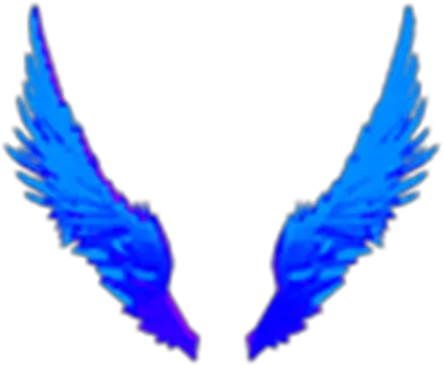  Blue Flame Wings Ailes Roblox Png Fire Wings Png