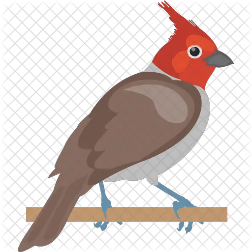  House Sparrow Icon Northern Cardinal Png Cardinal Png