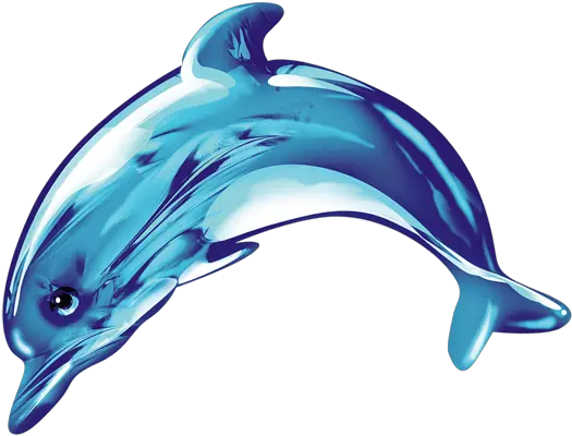  Common Bottlenose Dolphin Icon Cute Dolphin Png Dolphin Transparent