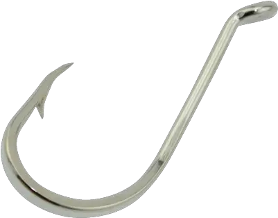  Download Free Png Fish Hook Image With Fish Hook No Background Fish Hook Png