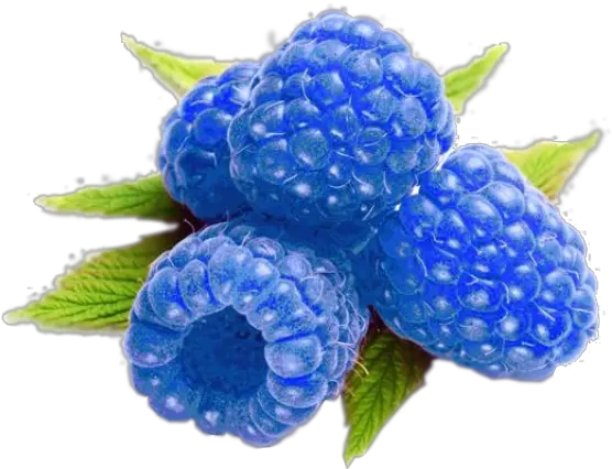  Blueberry Vs Blue Raspberry Blue Raspberry Blue Fruits Png Raspberry Png