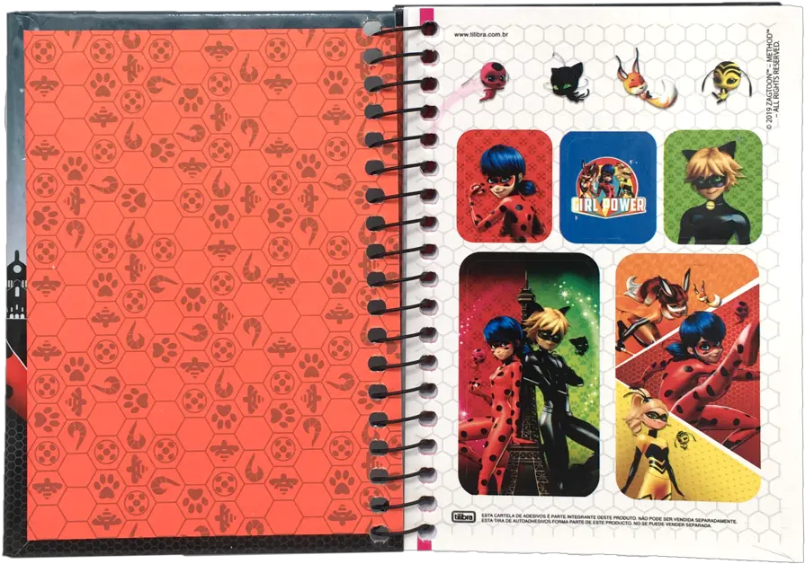  Miraculous Ladybug Notebook S Robin Png Miraculous Ladybug Transparent